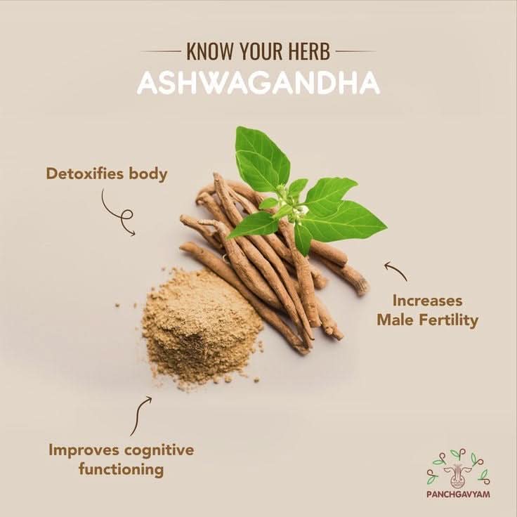 Glow Premium Face Serum Face